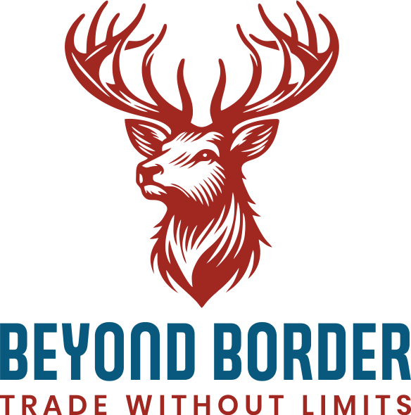 Welcome To Beyond Border